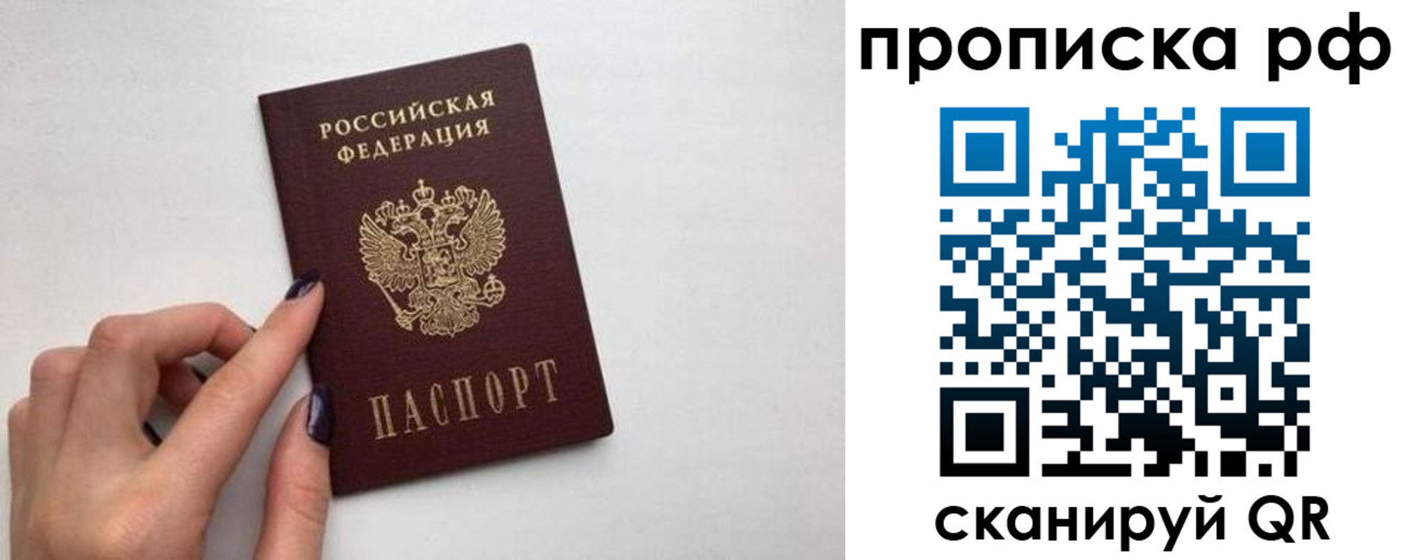 прописка в квартире в Новом Осколе
